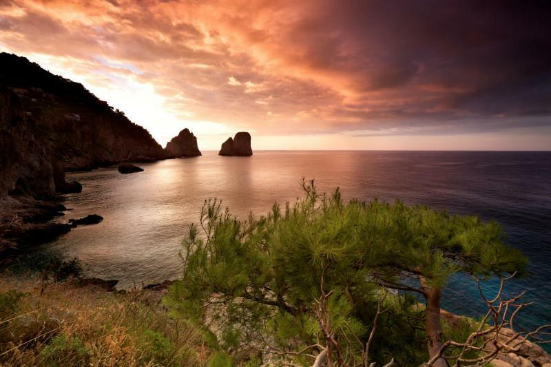 Villa Marina Piccola Ai Faraglioni Capri Eksteriør billede